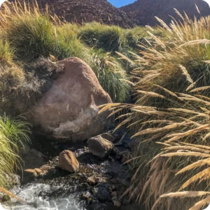 Trekking de Terma baja