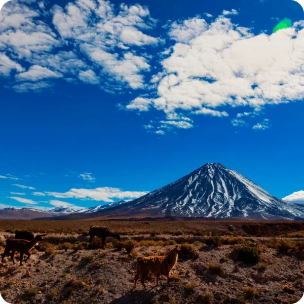 Volcán Láscar